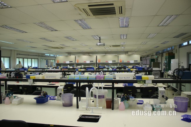 必威精装版app莎顿国际学院