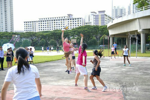 必威精装版appSSTC学院本科专业申请