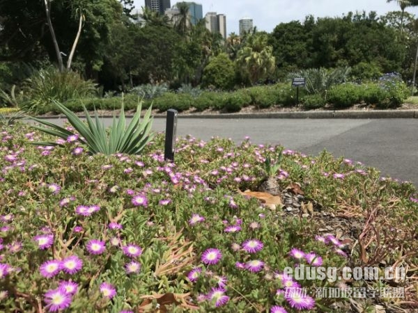 英国本科申请研究生需要哪些条件