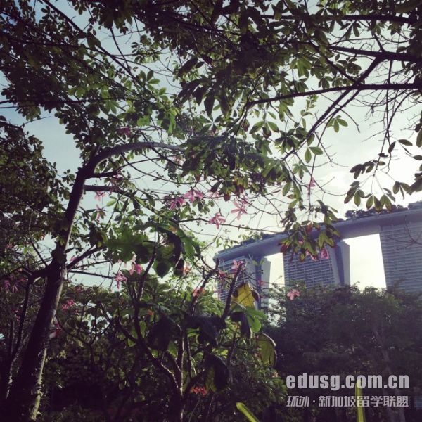 谢菲尔德大学博士