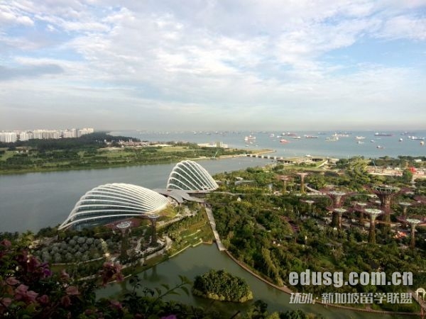 必威精装版app国际大学的学费