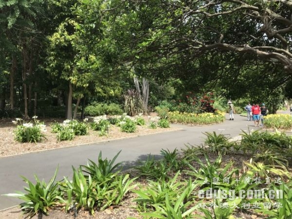 墨尔本大学申研条件