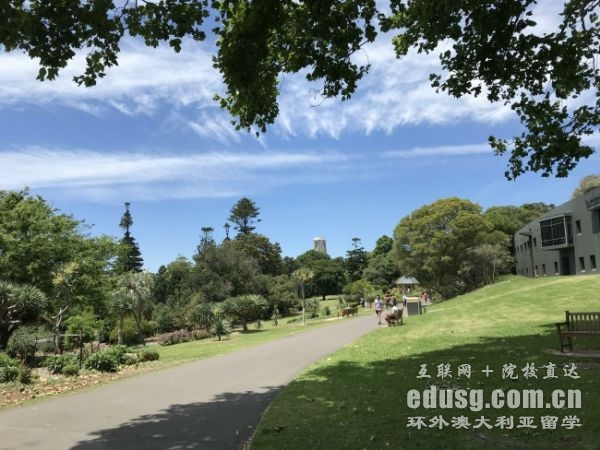 昆士兰大学预科时间