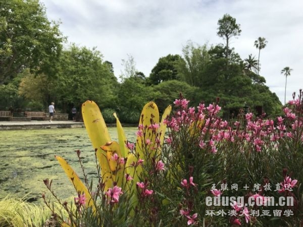 悉尼大学的世界排名