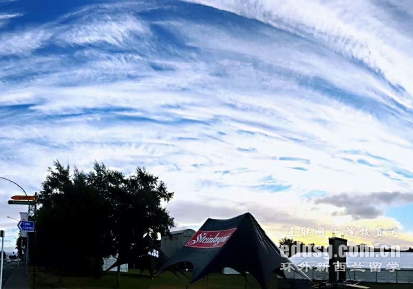 梅西大学读研要求