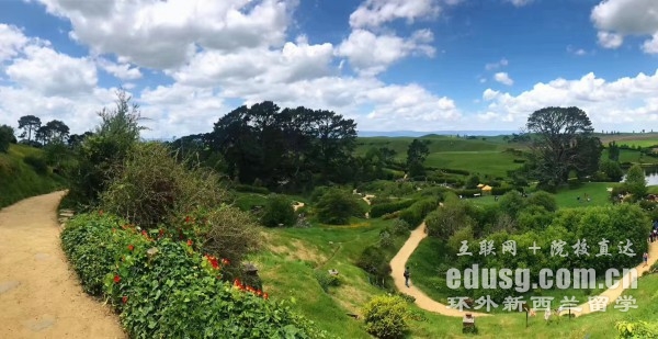 梅西大学工商管理硕士