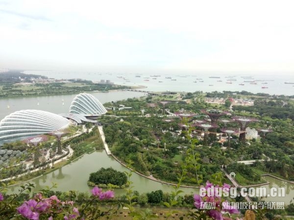 2025年去必威精装版app必威体育亚洲品牌费用