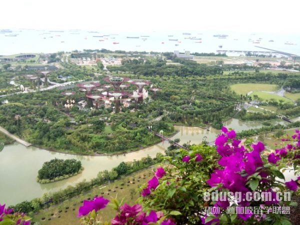 必威精装版app国立大学双非申请