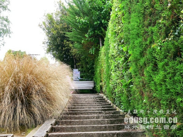 奥克兰大学传媒专业研究生