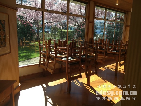 新西兰梅西大学排名