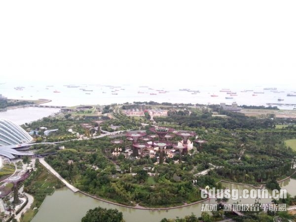 本科必威体育亚洲品牌必威精装版app大学条件