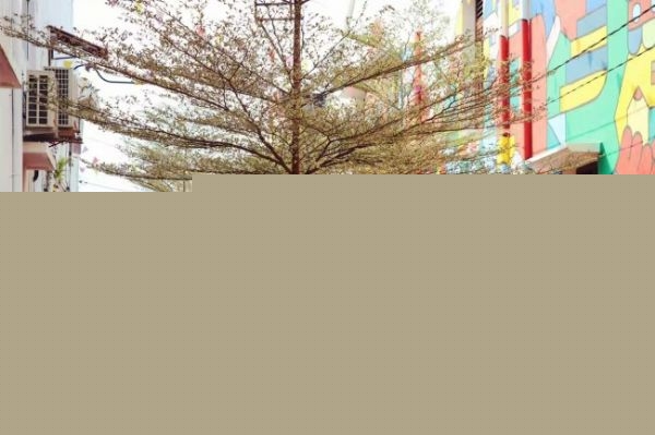 美术生必威体育亚洲品牌马来西亚