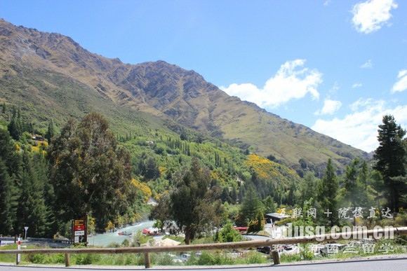 新西兰奥克兰大学qs排名2026年