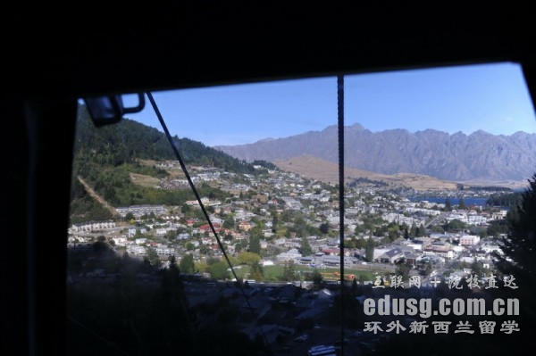 新西兰南方理工学院必威体育亚洲品牌的专业