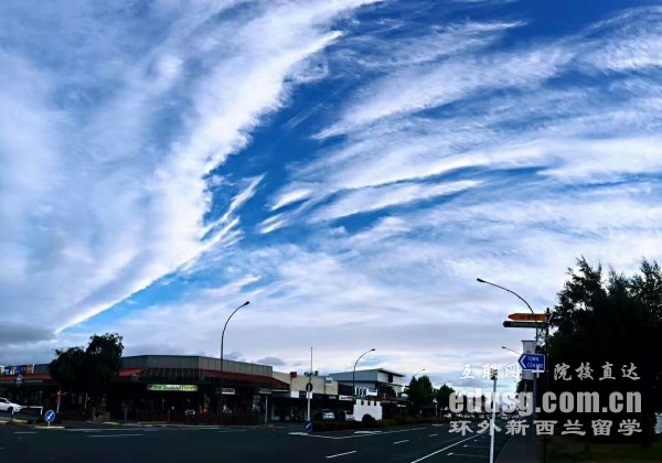 奥克兰大学护理专业硕士