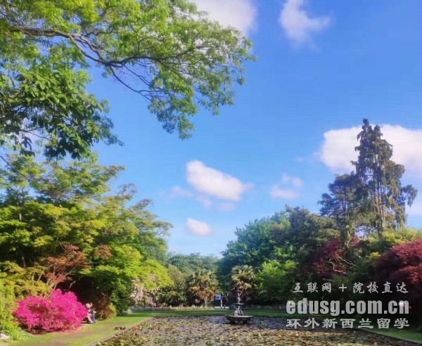 奥克兰理工大学艺术专业