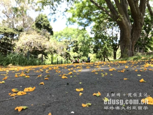 悉尼大学研究型硕士申请