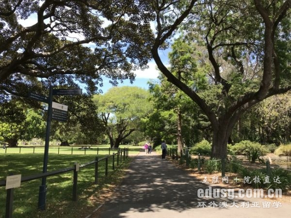 澳大利亚商科博士