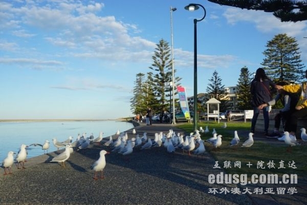 澳大利亚本科必威体育亚洲品牌要求