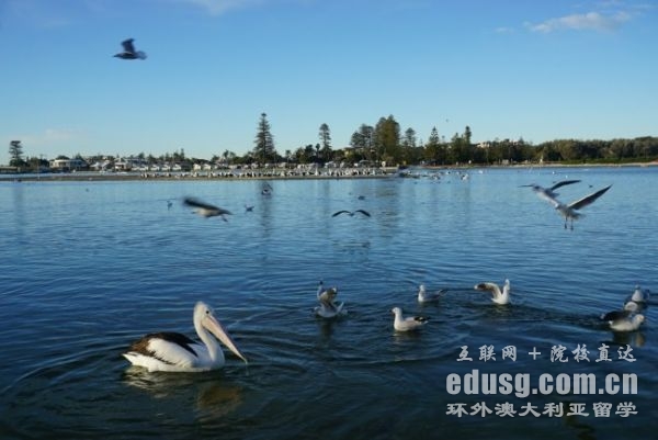 澳大利亚金融硕士大学