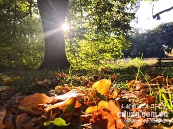 必威体育亚洲品牌几年澳大利亚