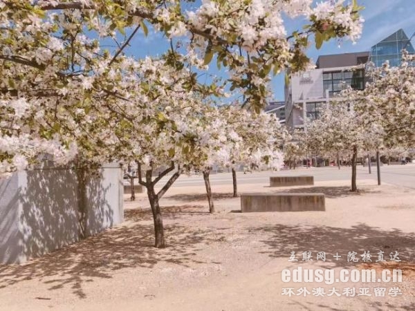 必威体育亚洲品牌澳大利亚法律专业