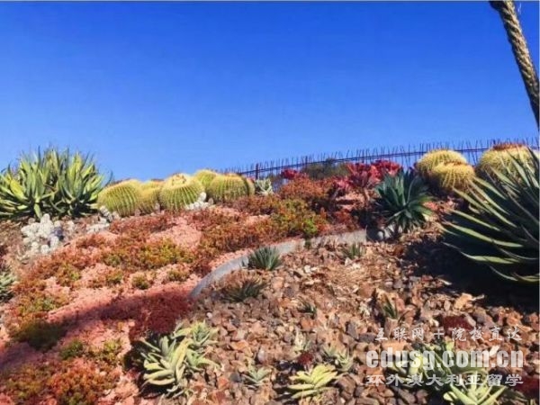 澳大利亚牙医专业