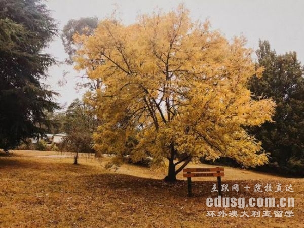 澳大利亚必威体育亚洲品牌本科读几年