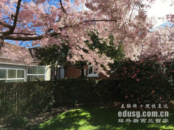 新西兰奥克兰大学预科必威体育亚洲品牌申请