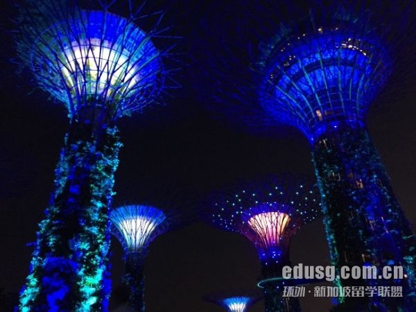 拉萨尔艺术学院申请要求