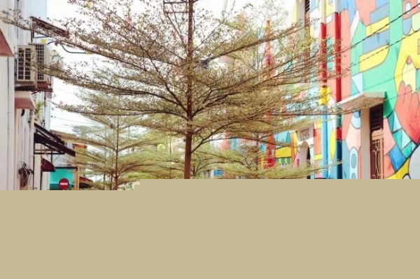 澳洲莫纳什大学马来西亚分校