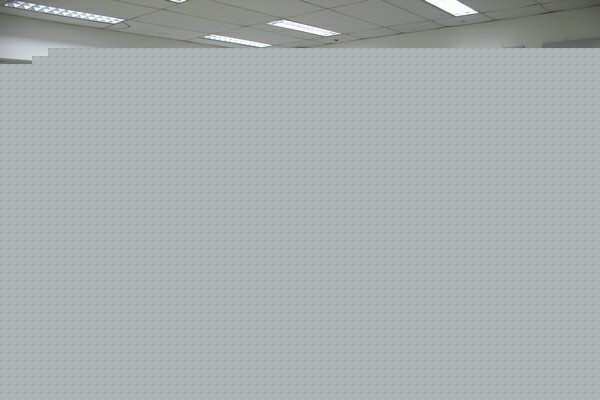 װappѧҪύʲô