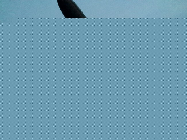 2016װappרҵƷ