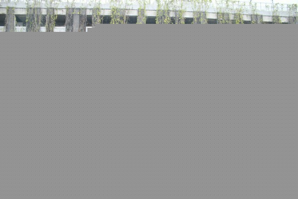 Ĵcfa֤γ