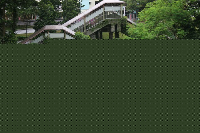 ĴǹѧУ