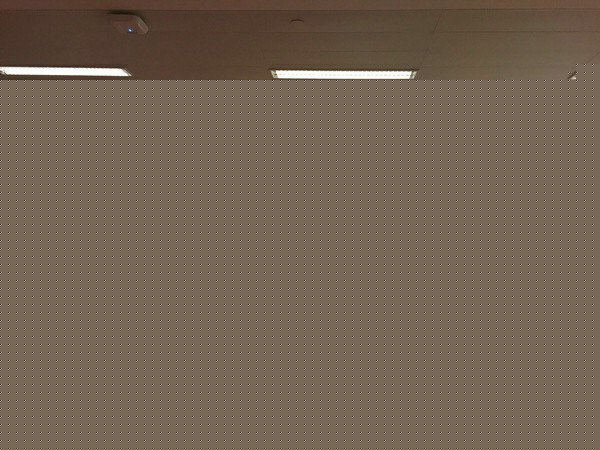 ʿѧýרҵ