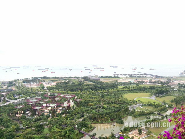 必威精装版app签证办理流程