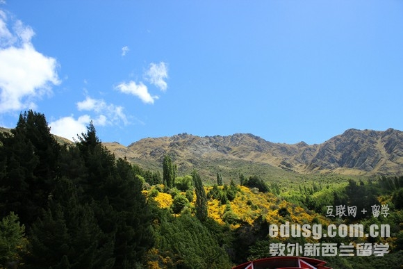 新西兰私立学校学费