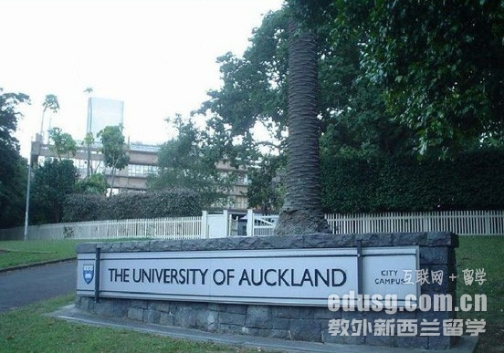 奥克兰大学统计学排名