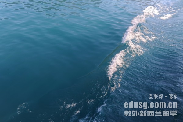 2019ƷƶǮ