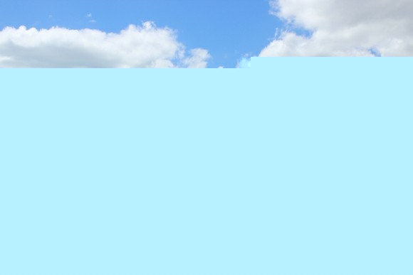 ÷ѧרҵ