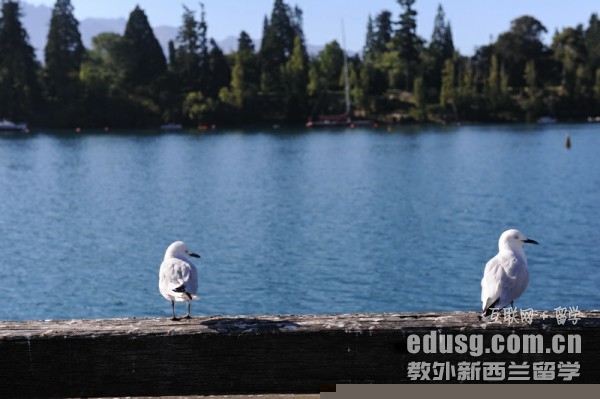 ȥƷƱشƷ