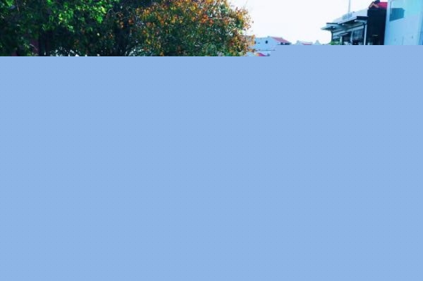 ǱƷ˶ʿԿγ