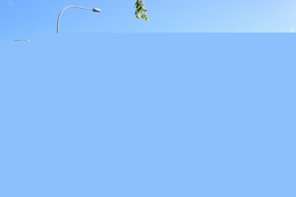 Ʒ