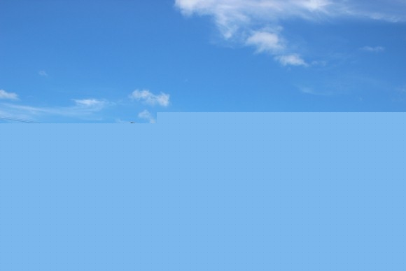 ɶѧ