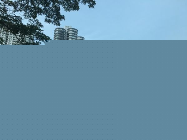 ĸѧʿ