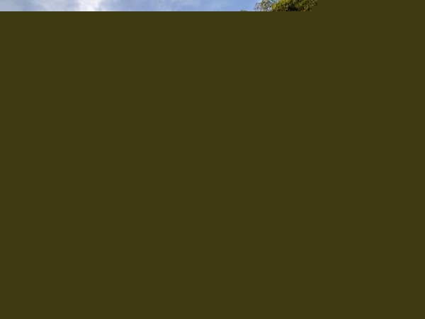 װappоһƷƻ