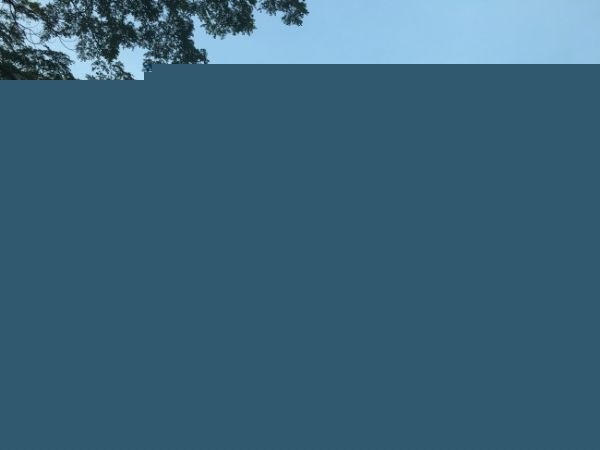 ʲôѧ
