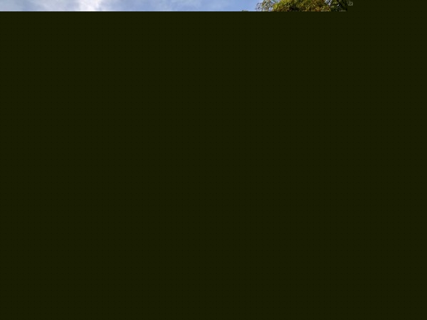 װappƷ