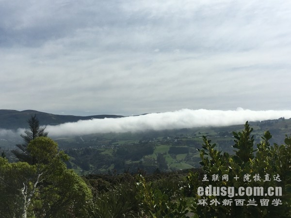 新西兰大学哪个学校好